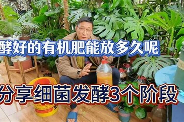 如何自制鱼蛋白液体肥