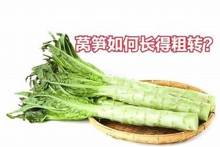 呙笋用什么作叶面肥最好效果最快