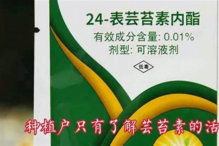 国内最好的芸苔素内酯