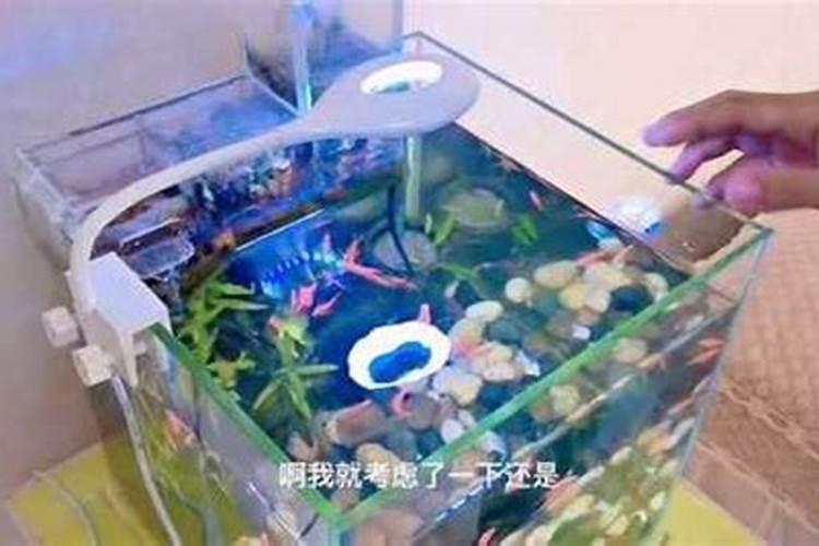 鱼蛋白要通过什么操作过滤出来呢