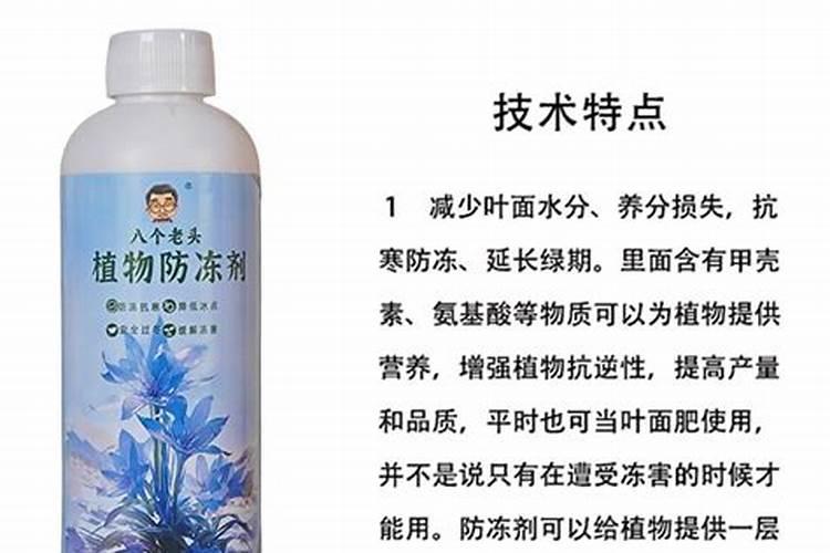 黄皮开花施什么肥