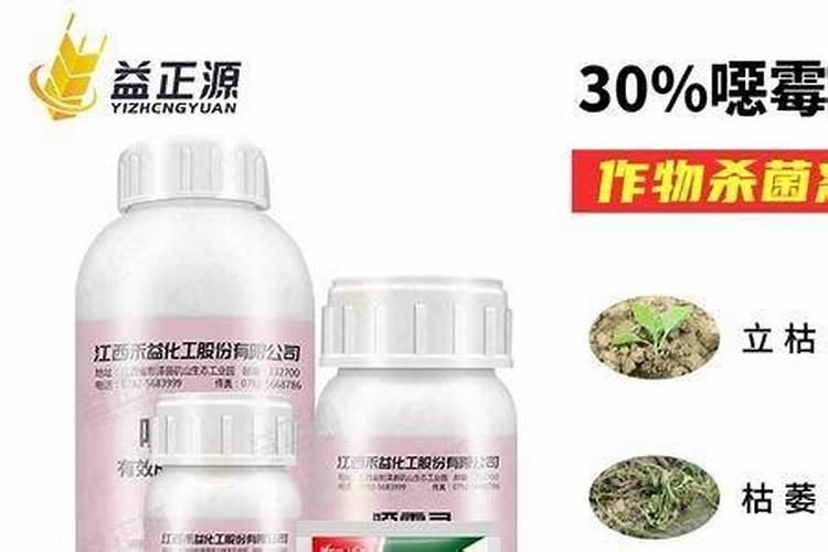 生姜用什么肥料做底肥最佳