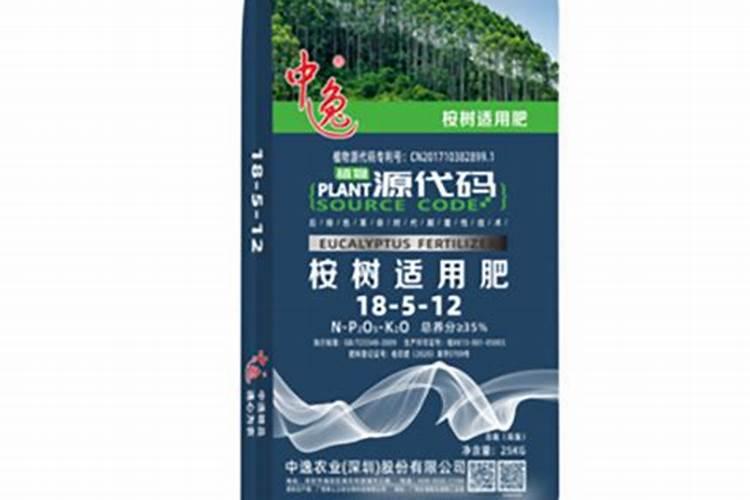 桉树需要施肥吗？