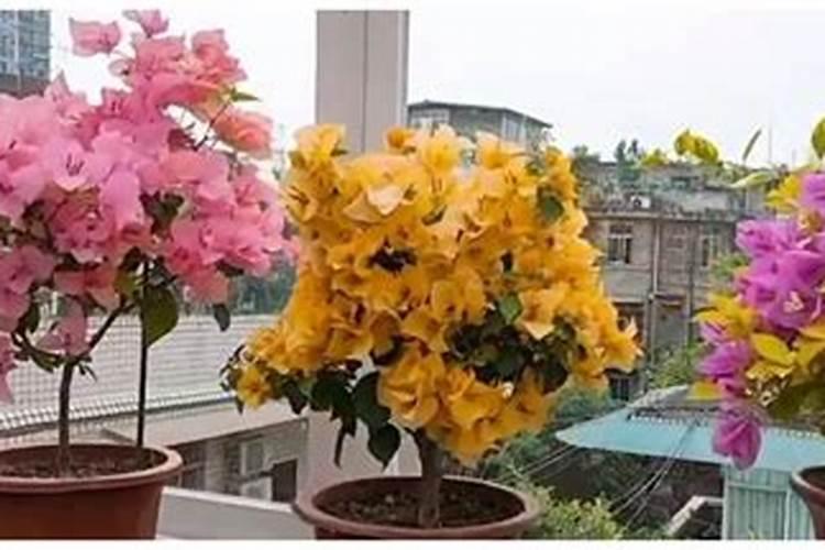 有什么办法可以把鱼蛋白过滤提取出来