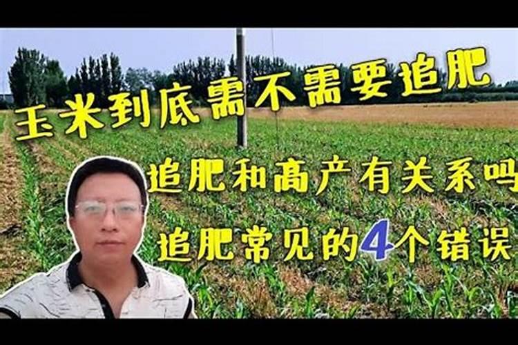 种玉米用掺混肥,还用不用上口肥