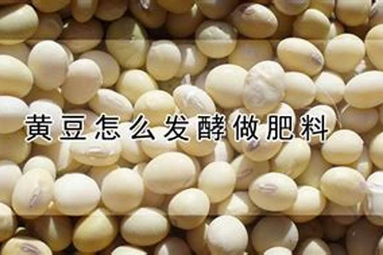玉米黄叶是什么病怎么防治