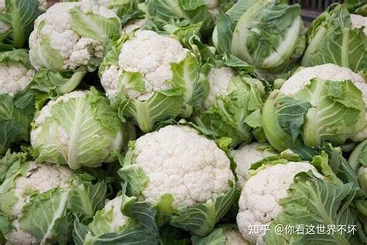 草莓什么时候冲高磷肥