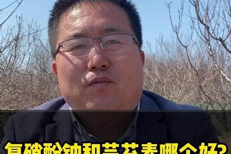 芸苔素内酯和复硝酚钠哪个好
