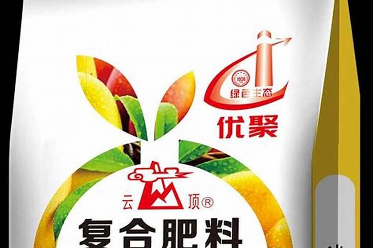 怎样官理枇杷
