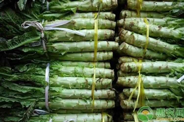 莴笋用什么肥料好
