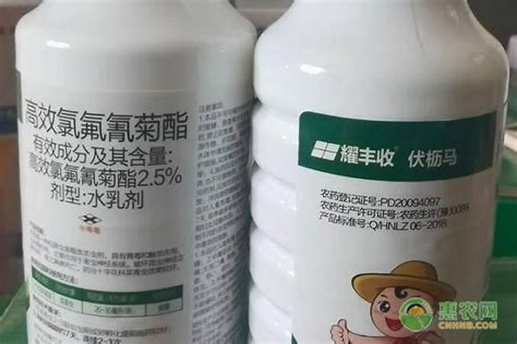 一百斤水三两水溶肥加三两尿素会不会烧根？