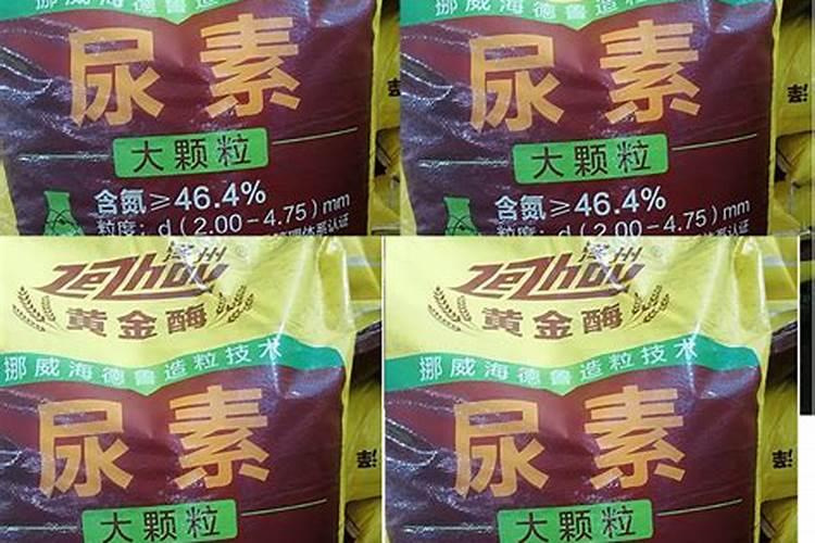 为什么砂糖桔座果较困难,请解析清楚点,谢谢。