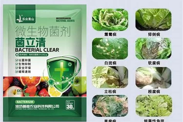 杀菌剂在白菜打多了回对白菜有影响吗