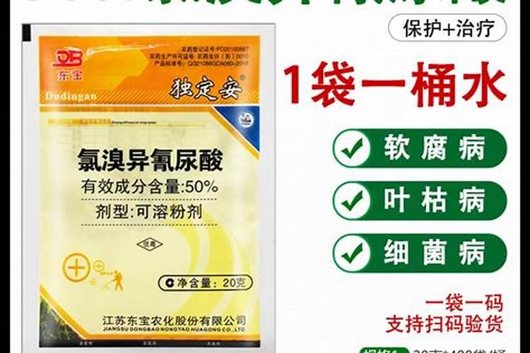 几种易受农药污染的蔬菜