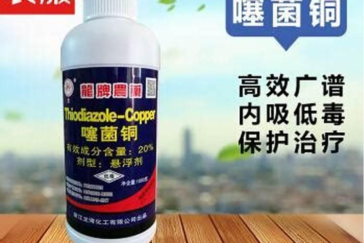娃娃菜烂心怎么回事？