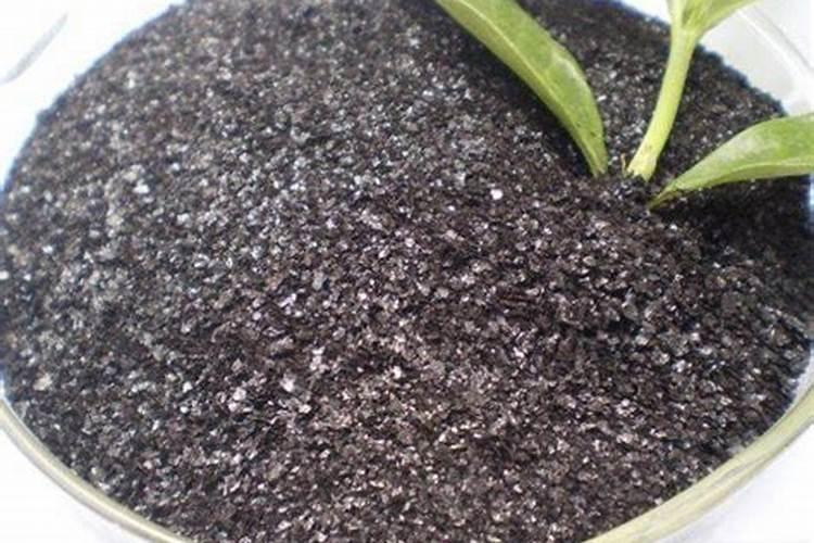 秧田青苔用石灰可以杀死吗？
