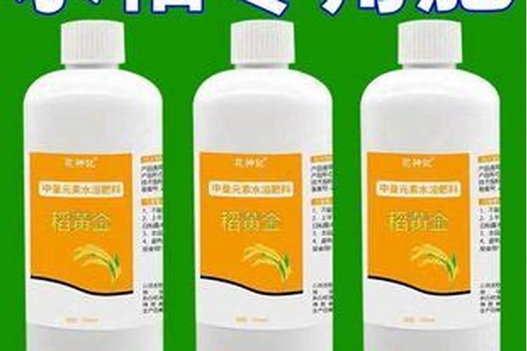 生姜用什么肥料才高产 附施肥方法