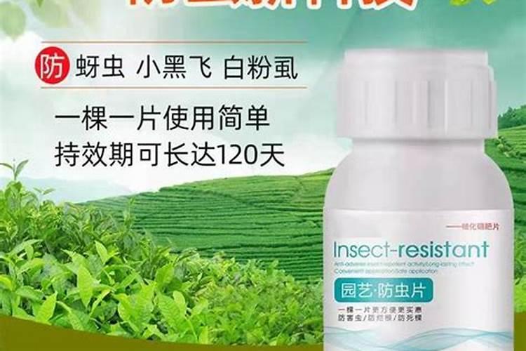 含腐植酸水溶肥料能用在哪些蔬菜上？