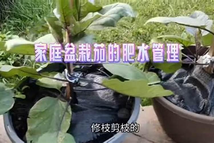湖北宏福三环有限公司生产的水溶肥喜力水溶肥的主要元素是什么百度知 ...