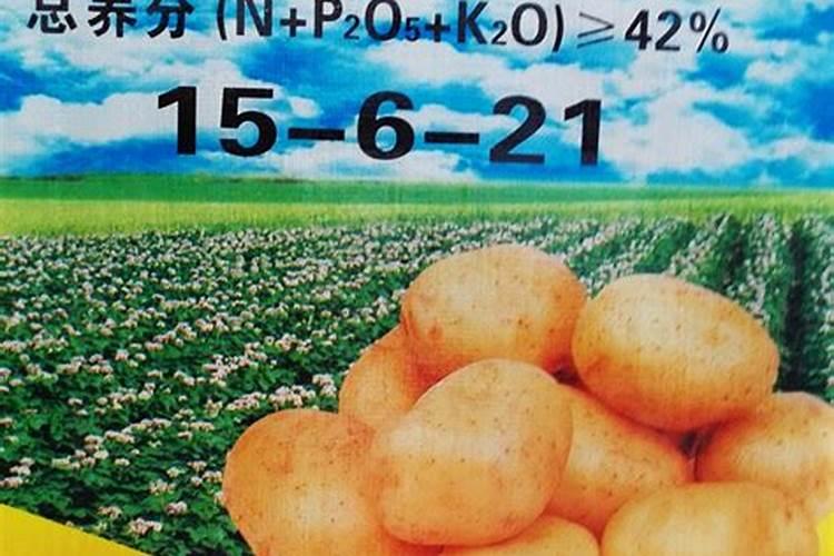 茉莉花浇什么肥料