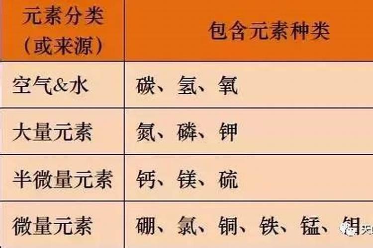 果树缺少中量元素会出现什么症状？