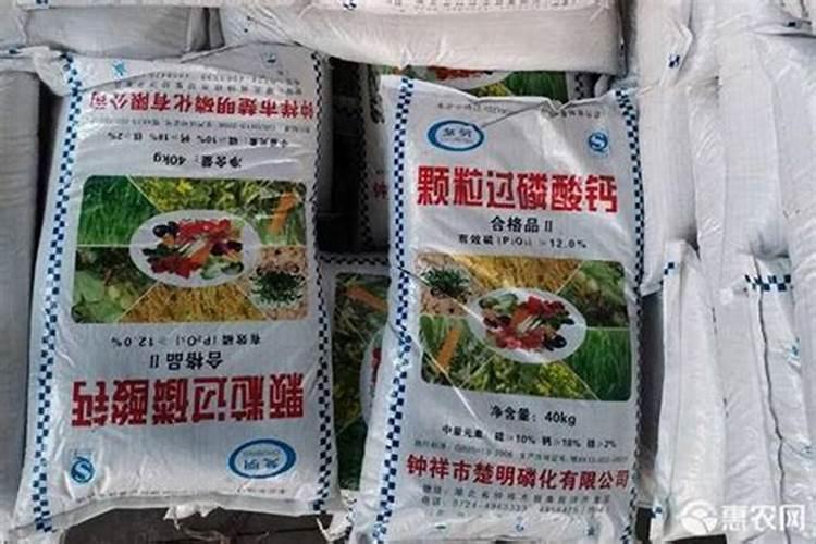 月季开花期间怎么施肥