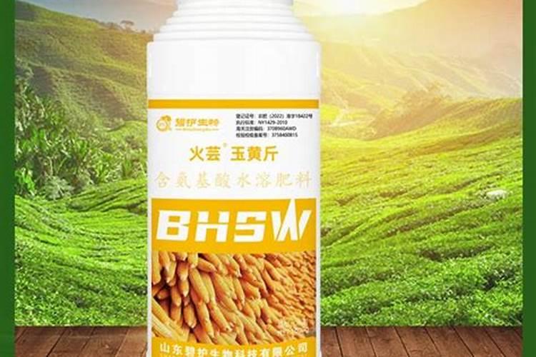 氨基酸叶面肥能使用在君子兰上么