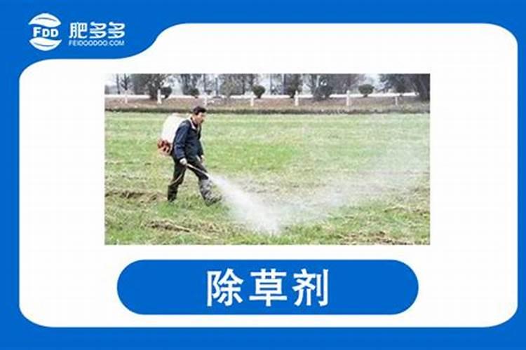 叶面肥多久能打除草剂？