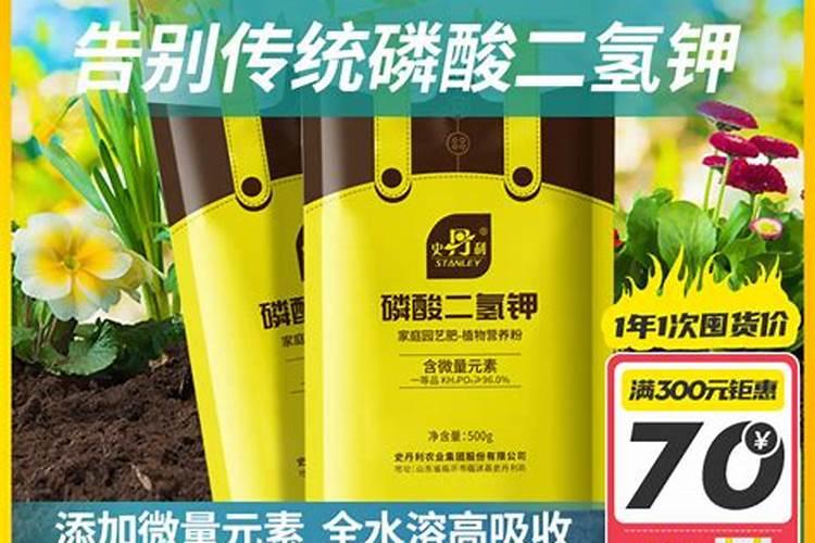 夏鹃多少钱一平方
