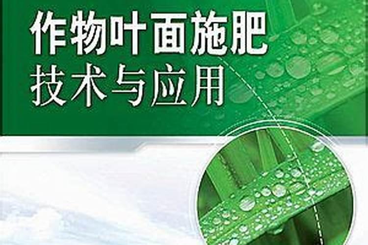 叶面专用肥有哪些种类 哪种叶面肥效果更好