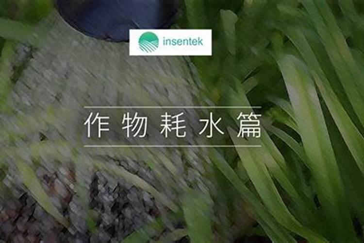 氮磷钾肥分别有什么作用 有哪些功效
