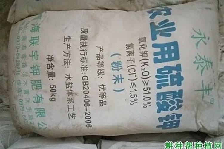 蕃茄用高钾肥用早了苗子长不起来怎么补救