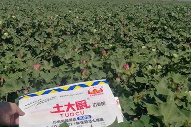 棉花用什么肥料效果好？