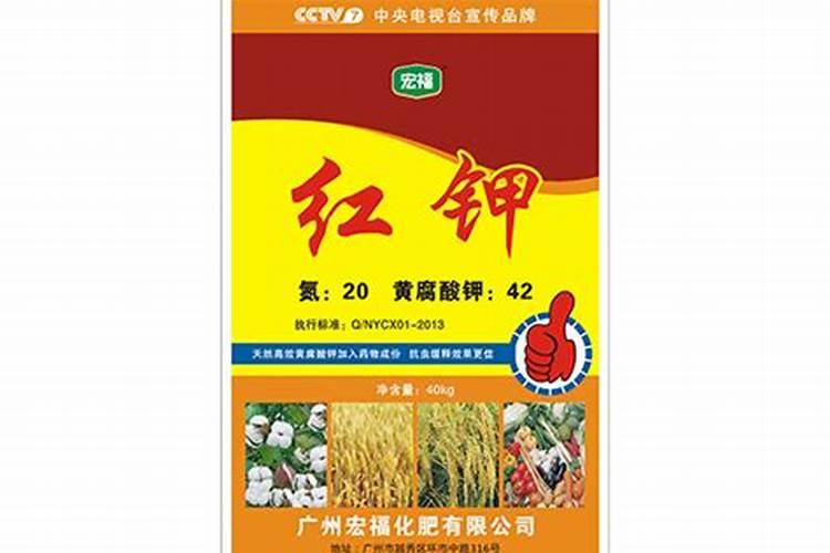 速生桉树施哪种肥最好