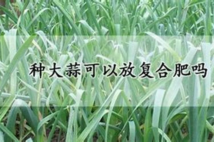 种大蒜用什么肥料做底肥最好