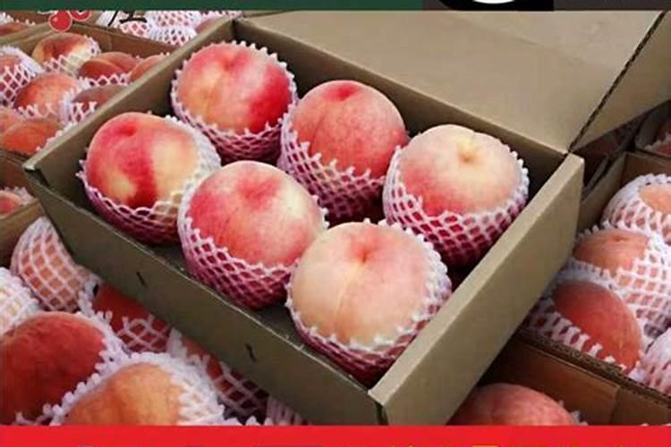 桃树施什么肥料桃子甜如何施肥效果好