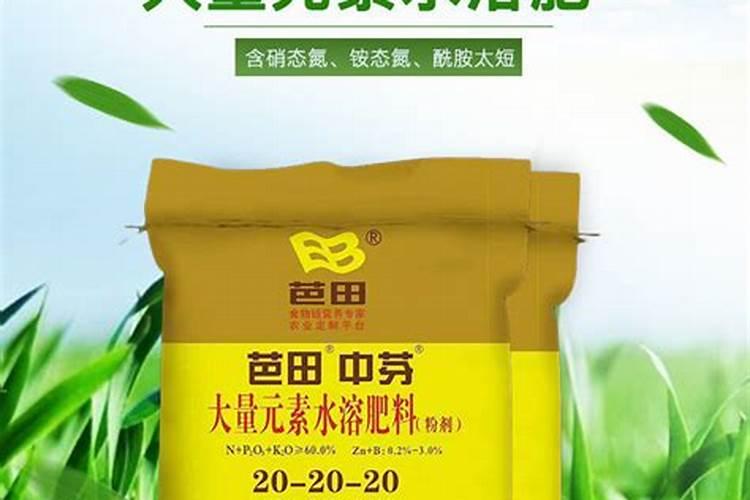 夏橡栽植技巧(夏橡树怎样栽培和管理)