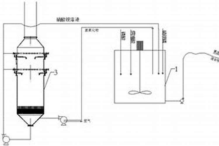 一年生红提秋季施肥