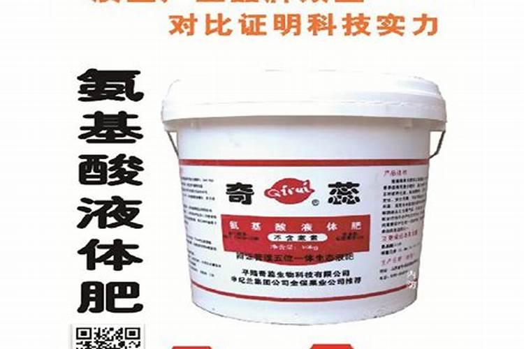 栛枝怎样种植