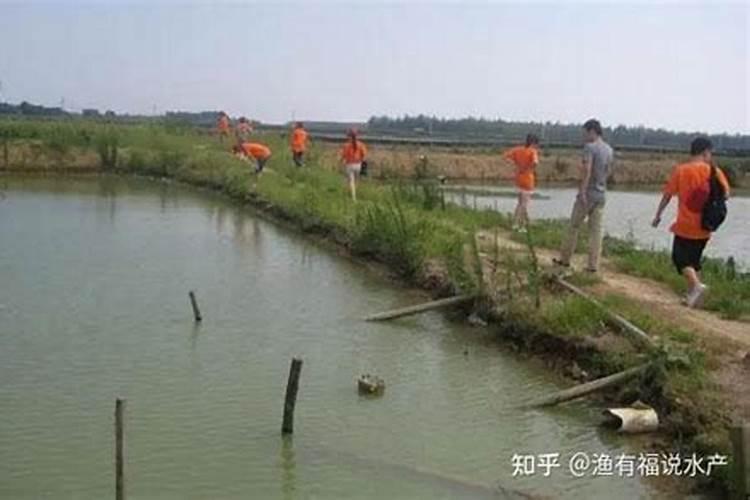 磷肥一亩地施多少