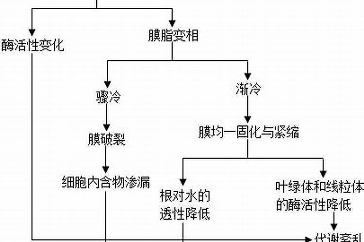 钙肥的作用及施用方法 钙肥对作物的主要作用
