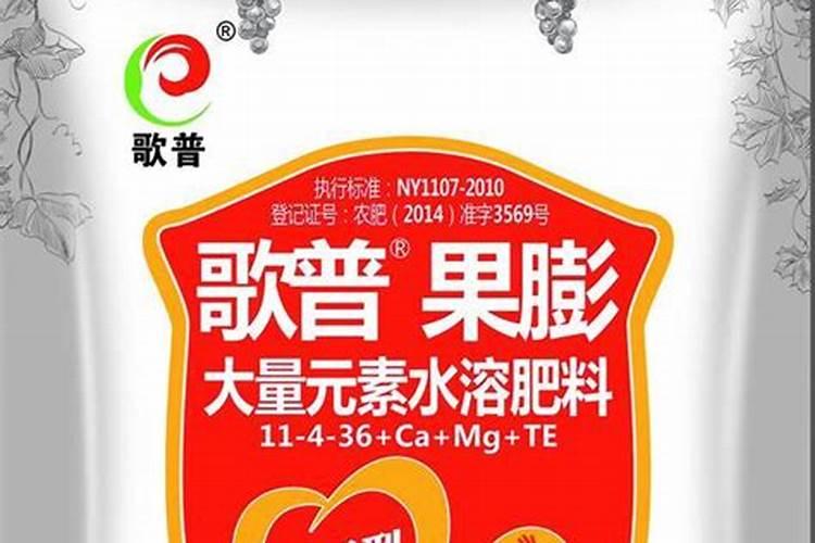 阳光玫瑰葡萄种植技术