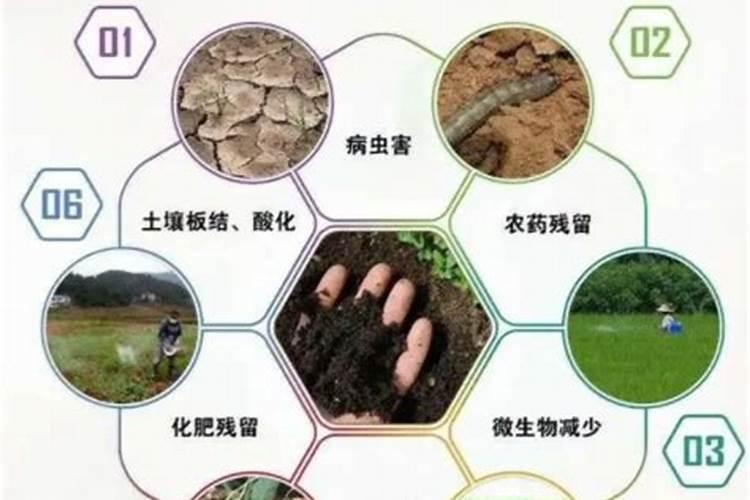 施可丰化工股份有限公司的发展历程