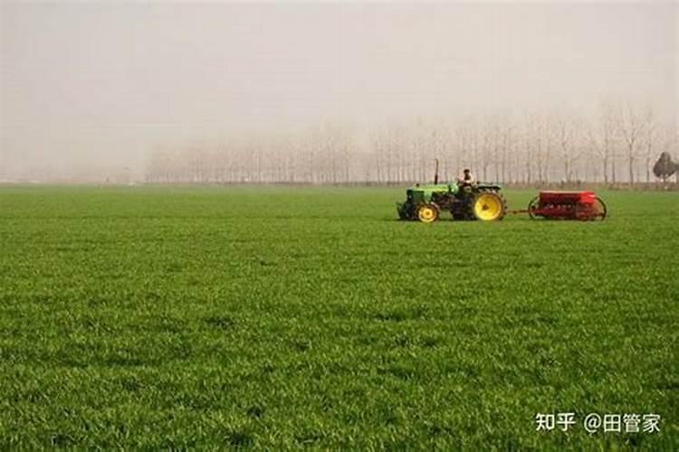 小麦底肥二胺每亩用量 二胺肥料的作用