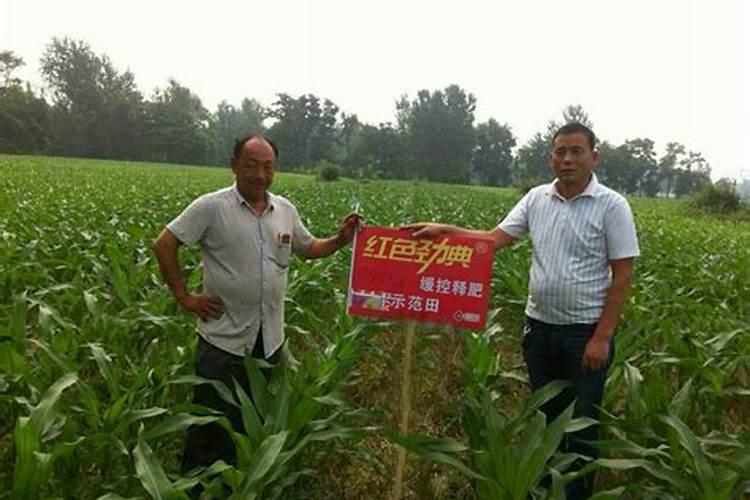 碳酸氢铵可以做肥料吗,正确的使用方法