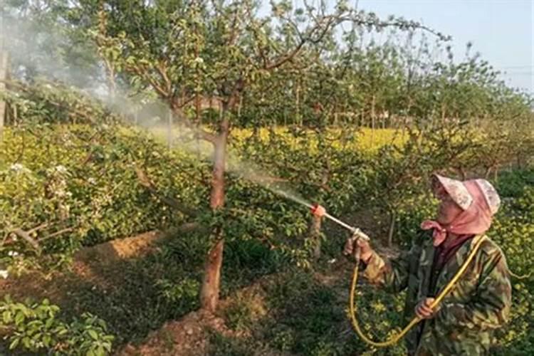 酸性土壤改良方法用什么肥 土壤酸性过高怎么施肥改良