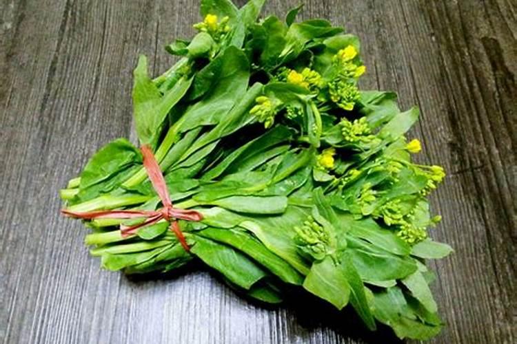油菜打什么药可以增产 油菜种植方法
