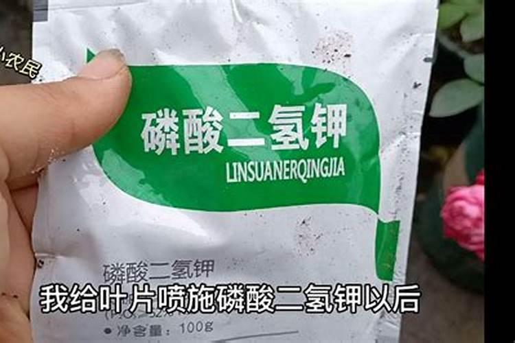 请问,种植大蒜喷什么叶面肥,喷它有哪些好处？