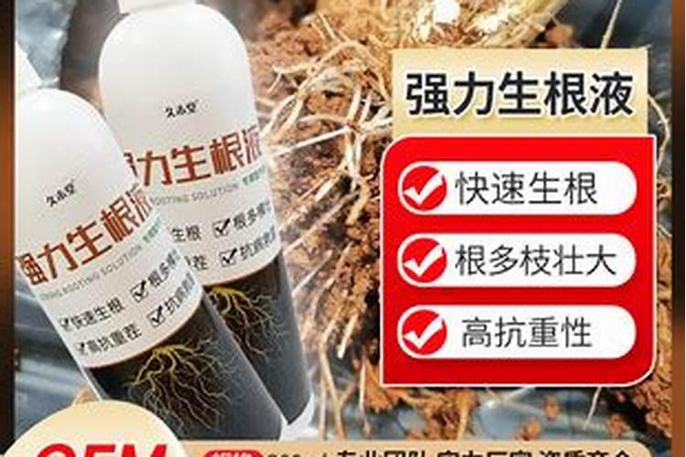 家庭种植蔬菜用什么做肥料？