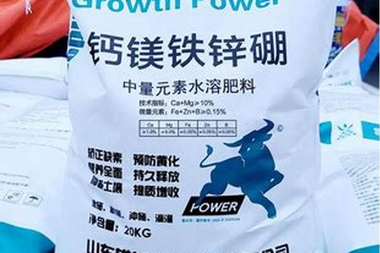 卡罗拉玫瑰花语是指什么,卡罗拉玫瑰的养护方法